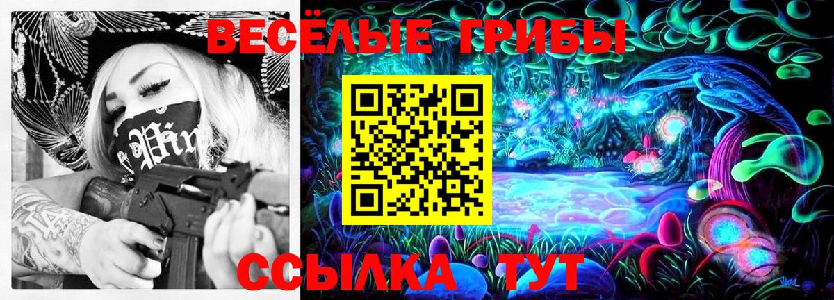 Галлюциногенные грибы мухоморы  Вход с VPN  цены   Донской 
