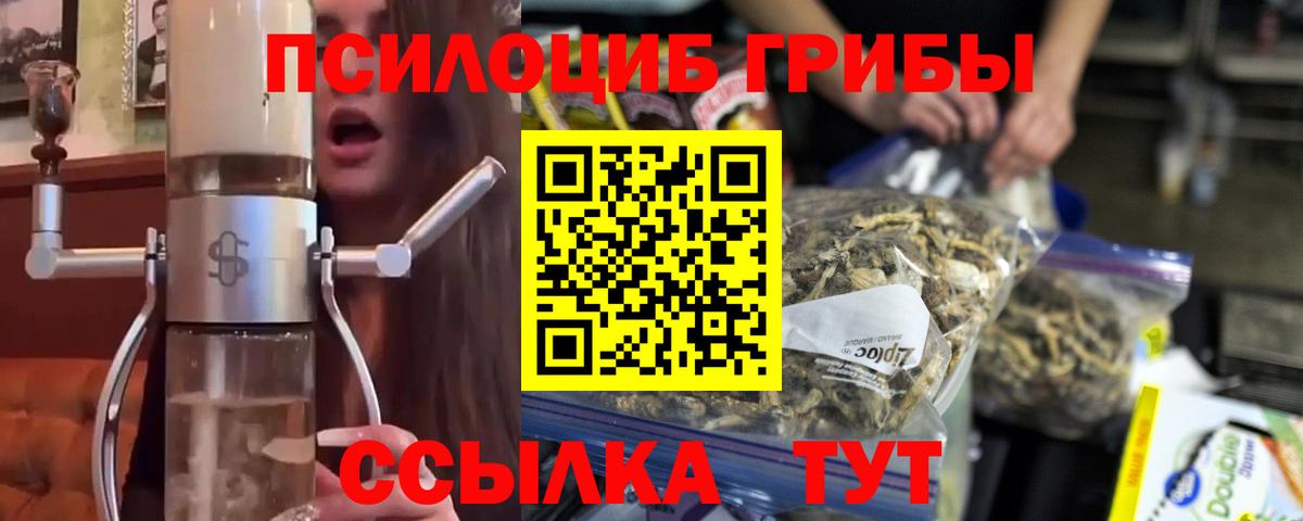 Псилоцибиновые грибы Psilocybine cubensis Донской